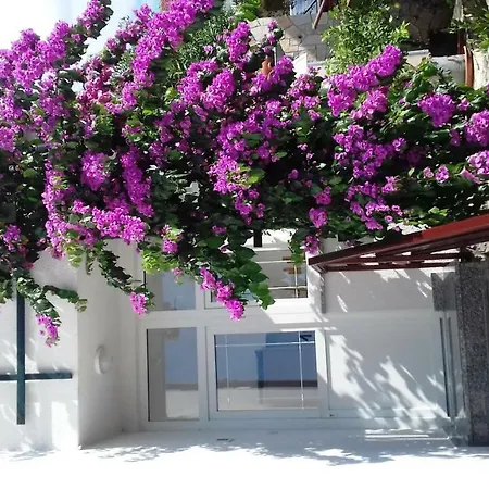 Apartmani Polonijo Nada Krk Town Exterior foto
